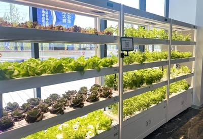 创新汇聚，未来启航——2024雄安未来之城场景汇决赛圆满举行