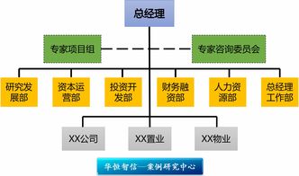 产品型组织结构在竞赛组织中的创新应用与发展路径